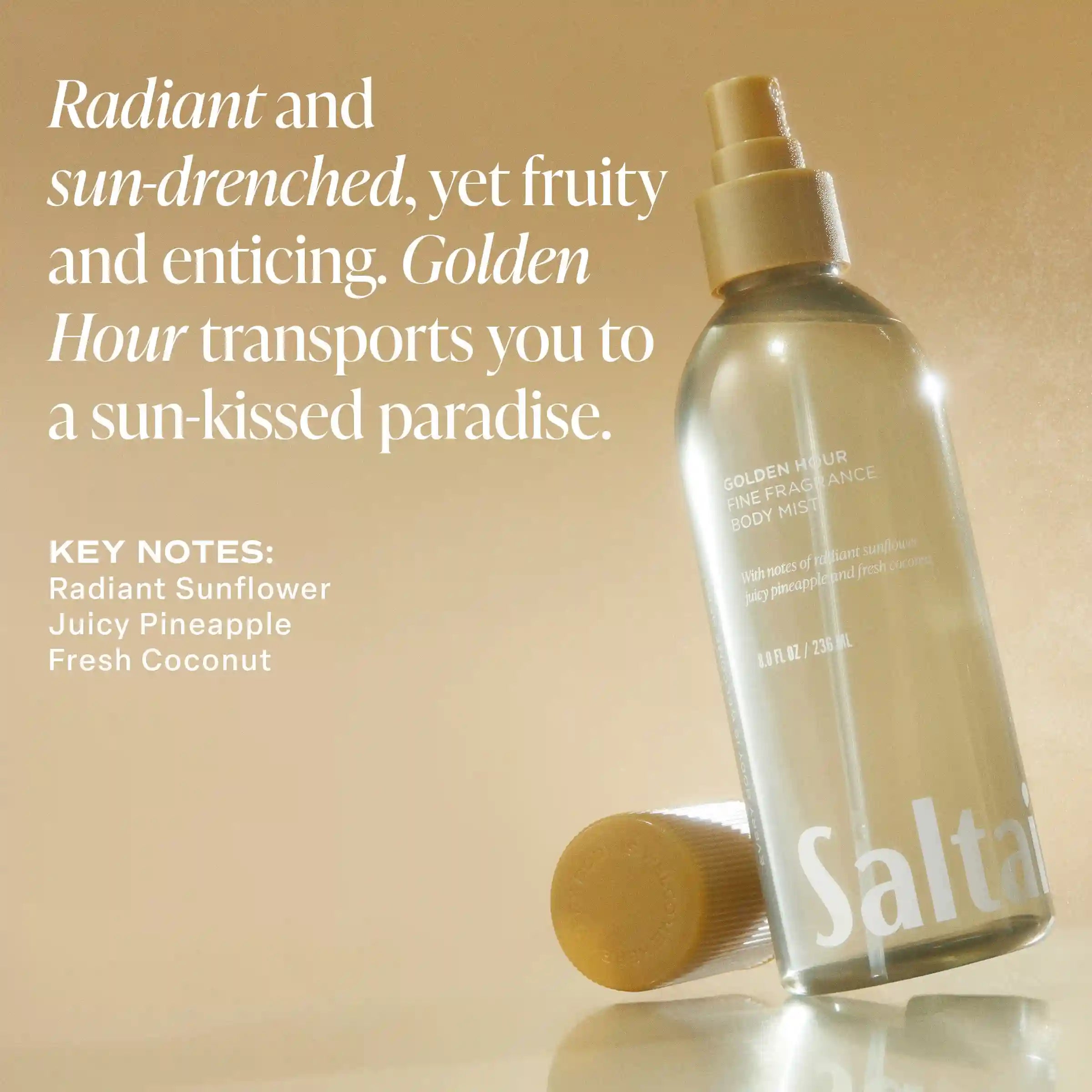 saltairbodyshop.com