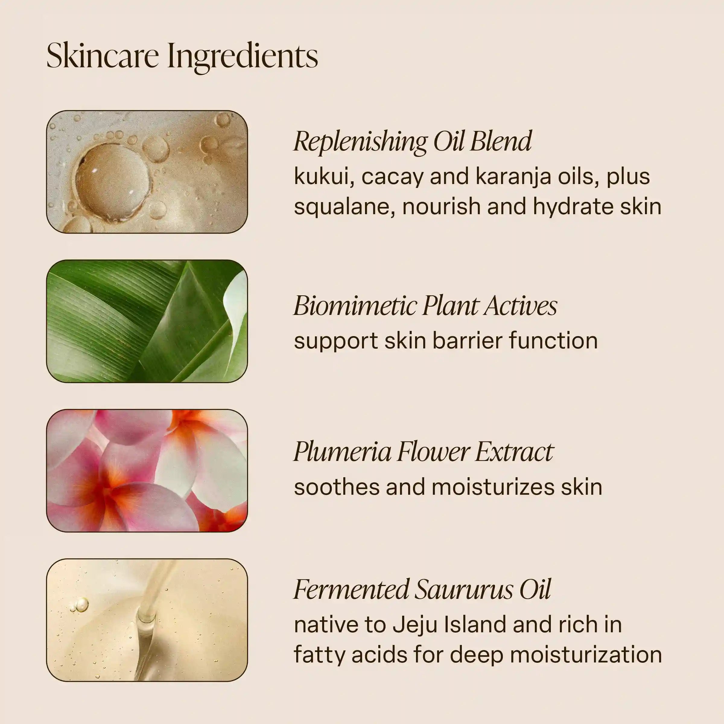 saltairbodyshop.com