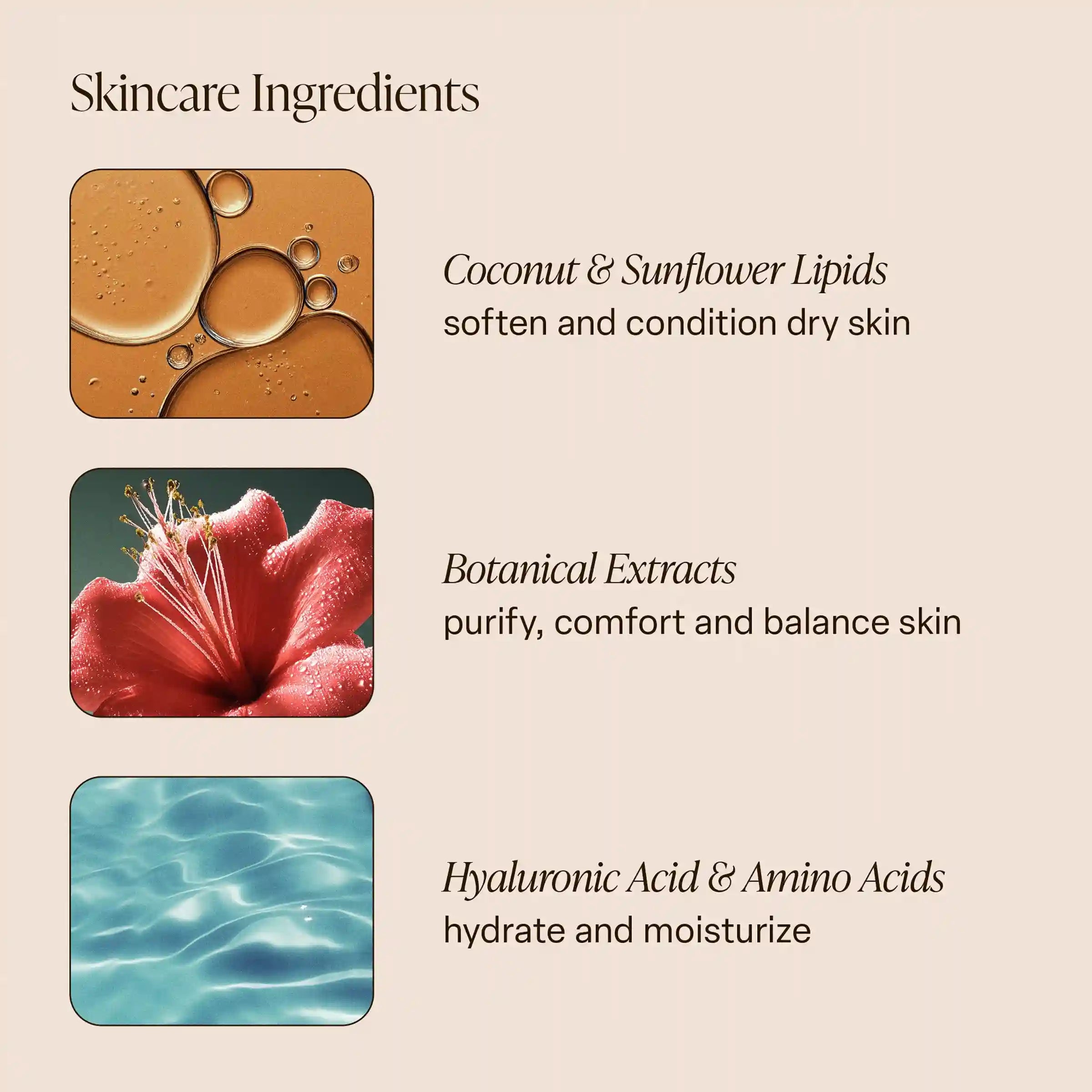 saltairbodyshop.com