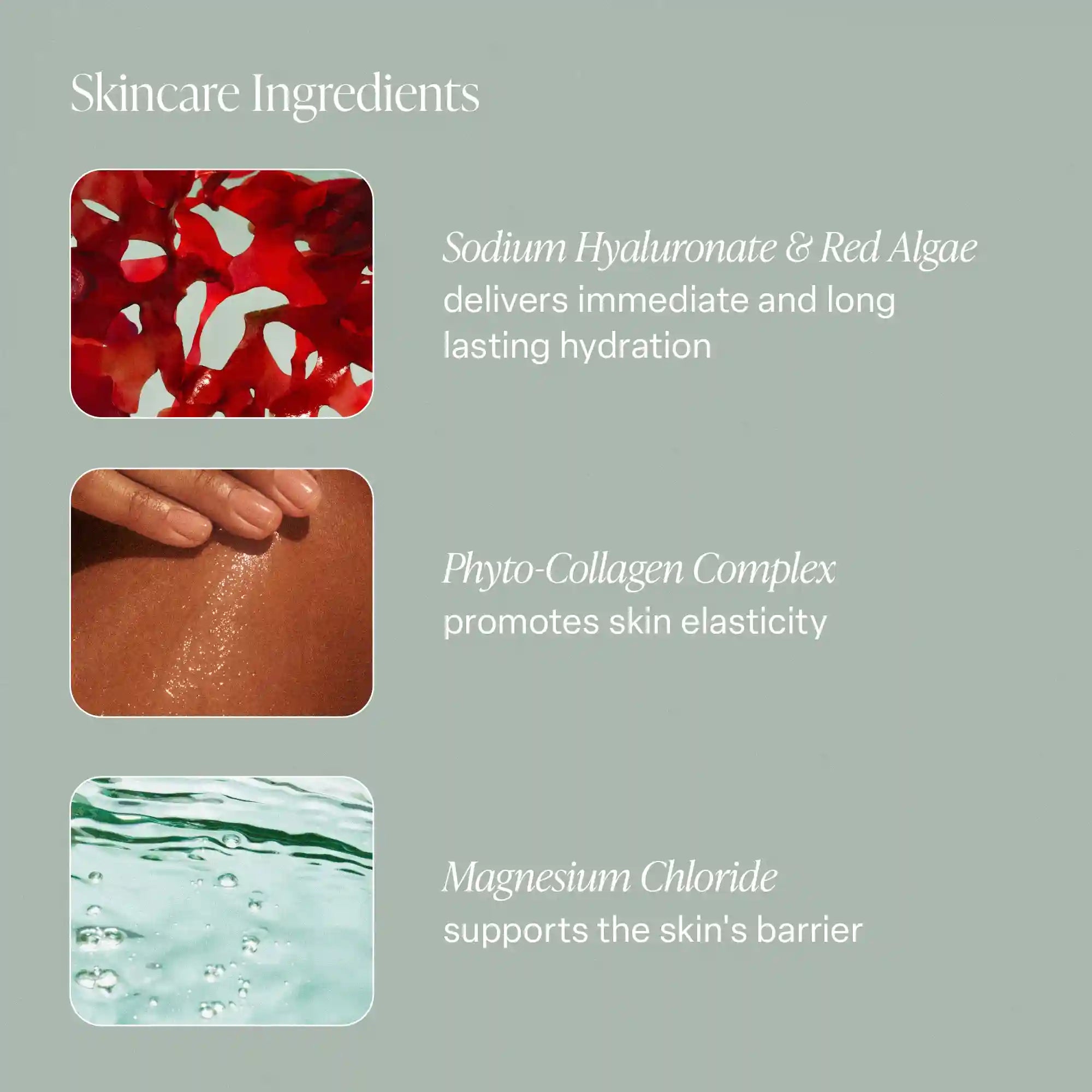 saltairbodyshop.com