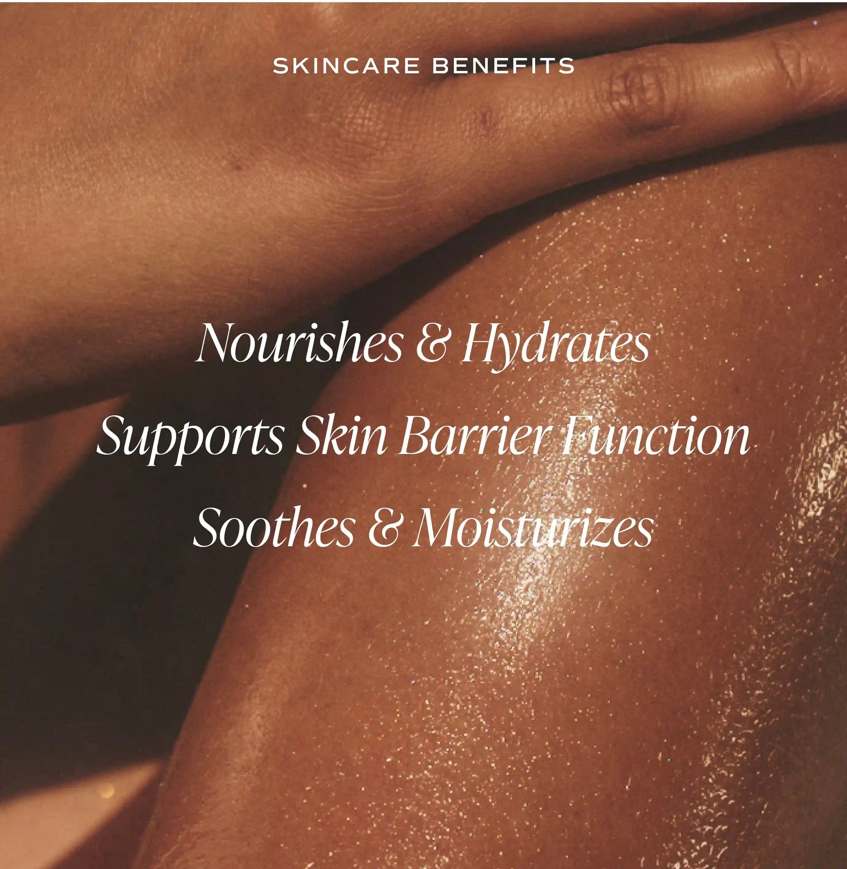 saltairbodyshop.com
