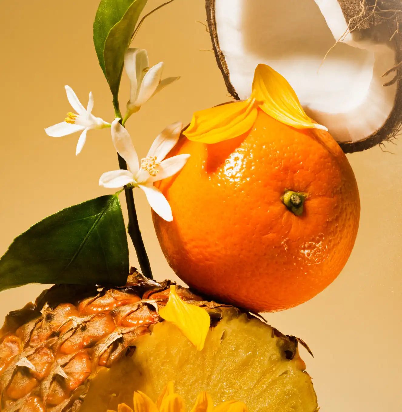 saltairbodyshop.com