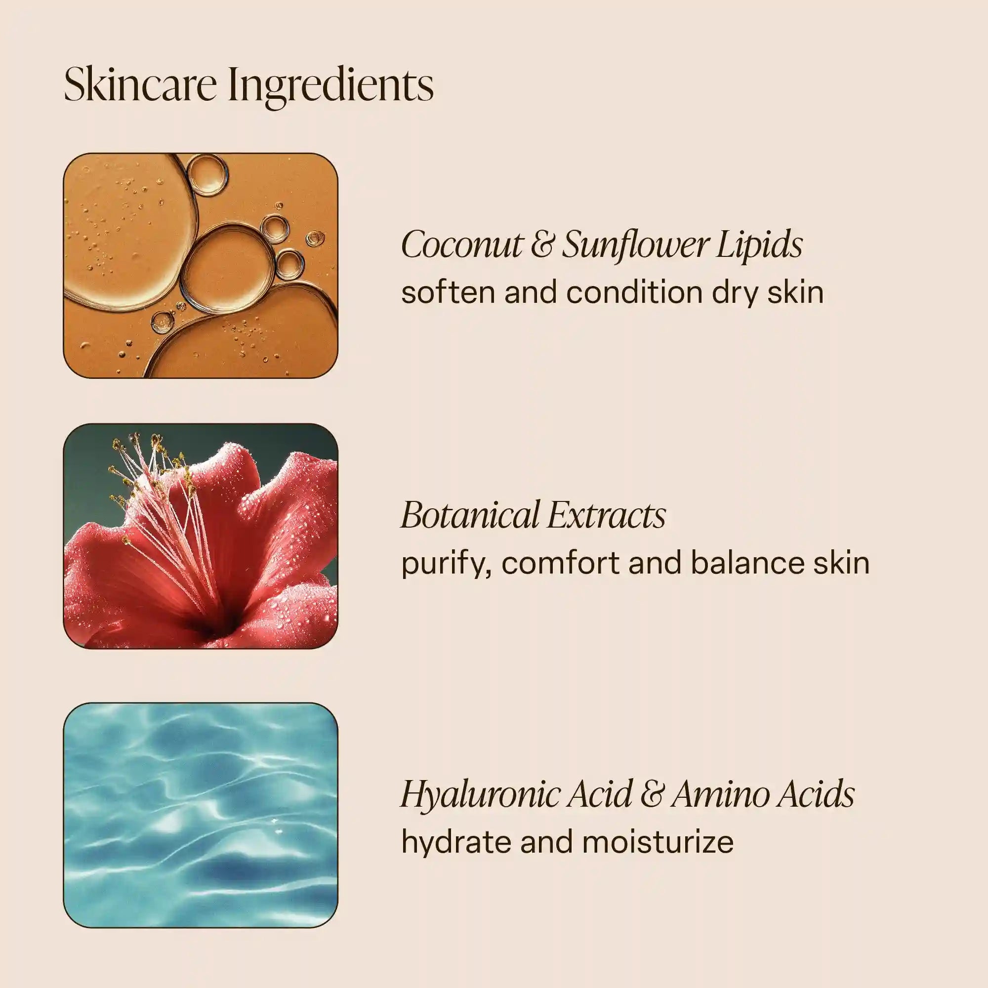 saltairbodyshop.com