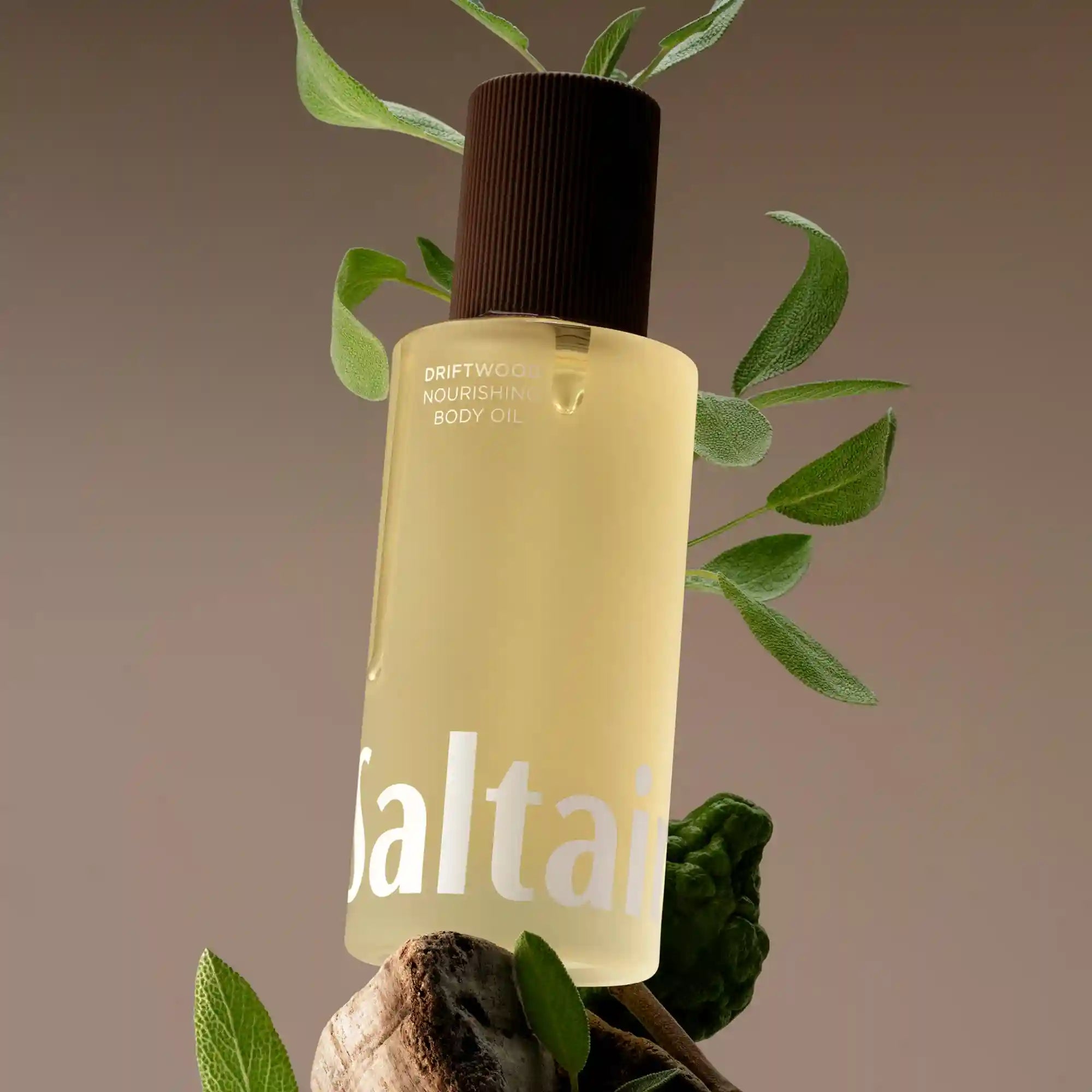 saltairbodyshop.com