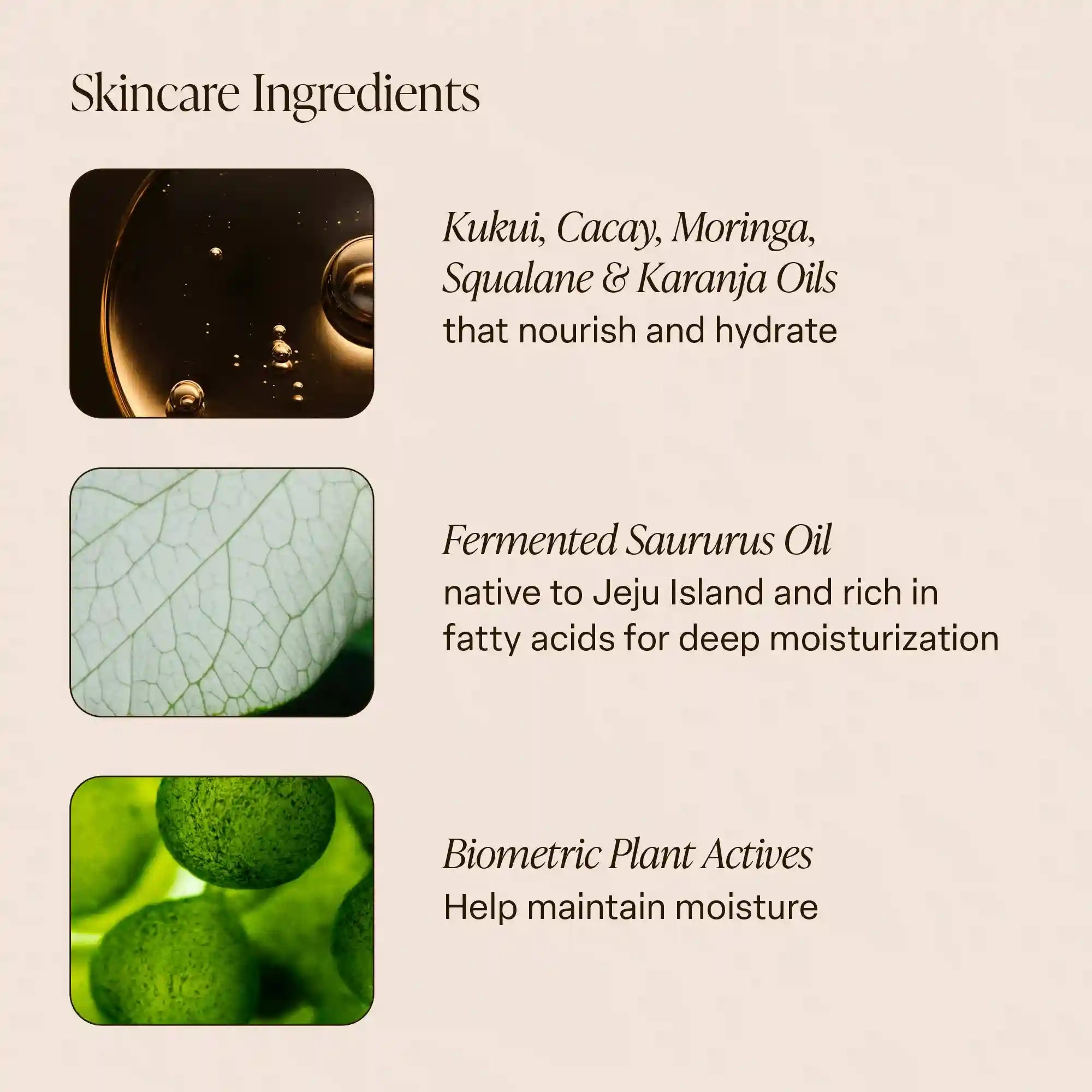 saltairbodyshop.com