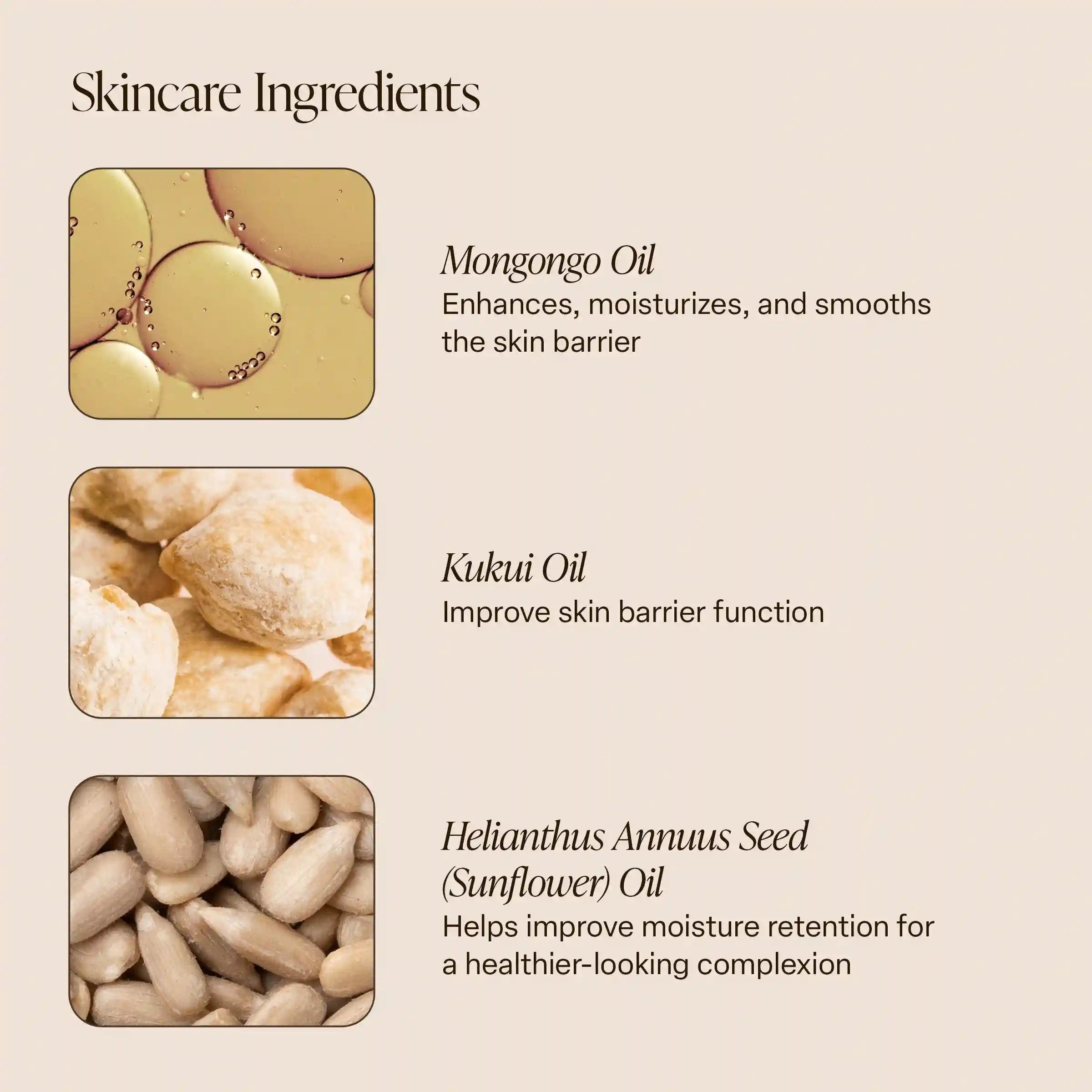 saltairbodyshop.com
