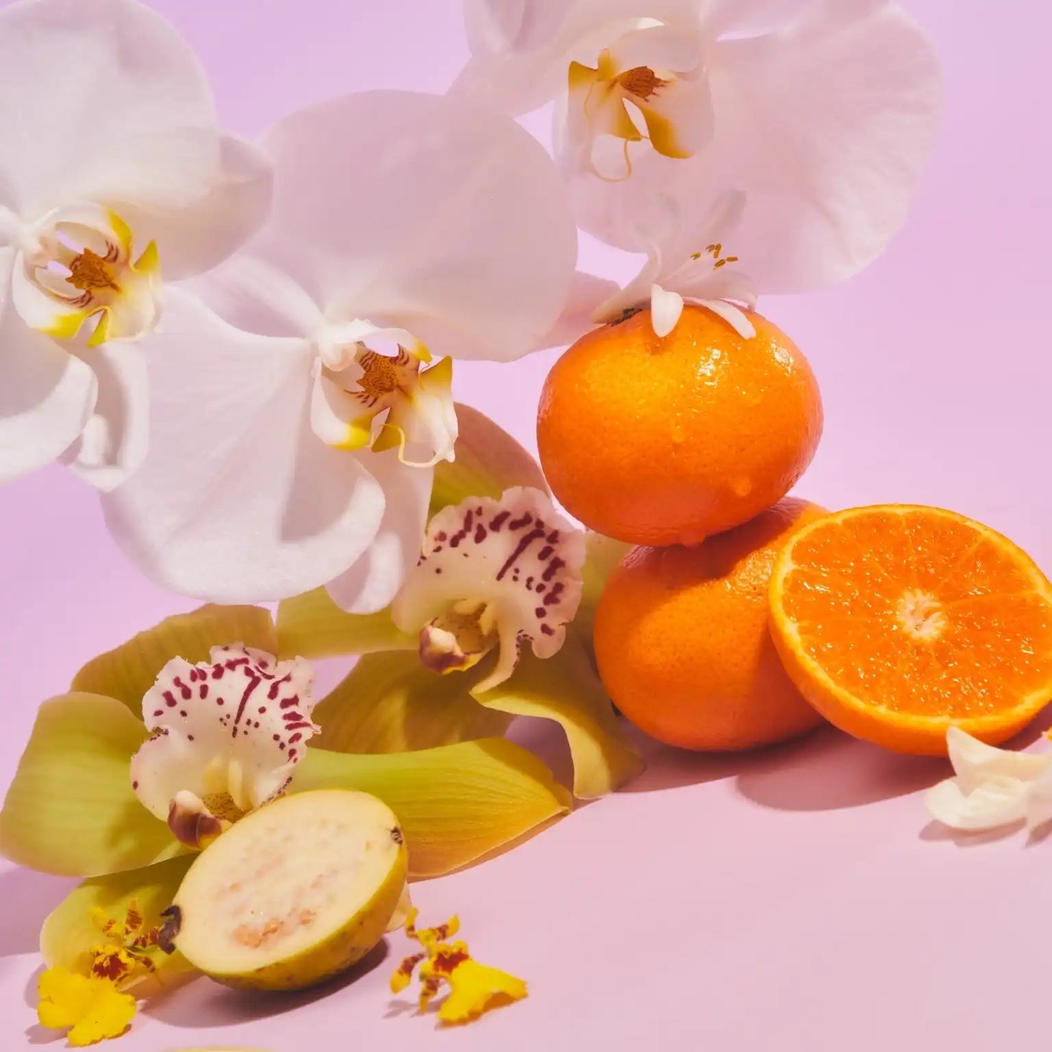 saltairbodyshop.com