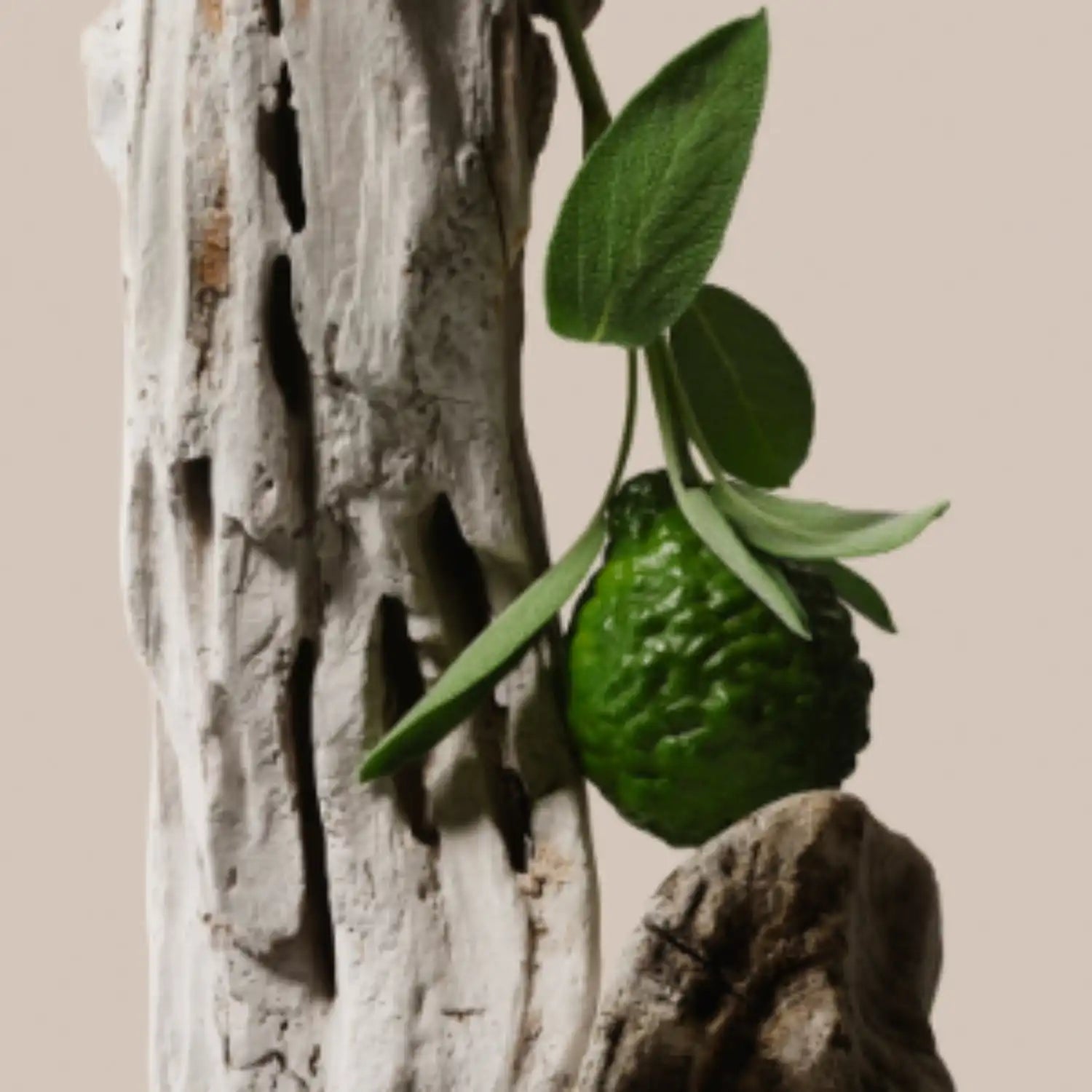 saltairbodyshop.com